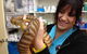Lennox Head Vet Clinic - thumb 18