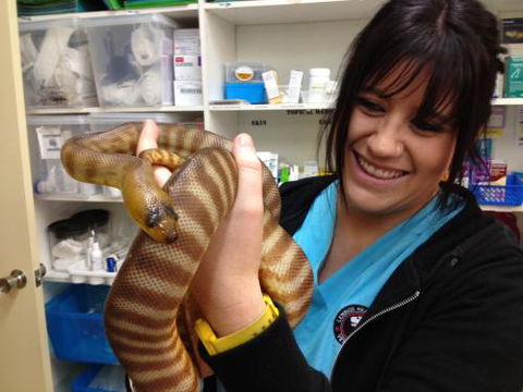 Lennox Head Vet Clinic - Vet Australia 18