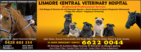 Lismore Central Veterinary Hospital - Vet Australia 3