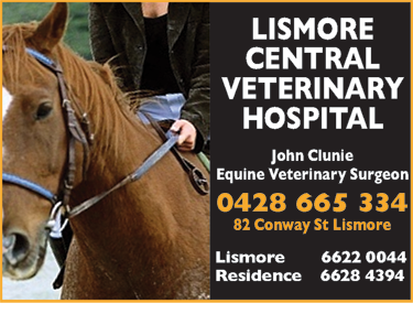Lismore Central Veterinary Hospital - Vet Australia 4