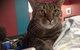 Litchfield Veterinary Hospital - thumb 2