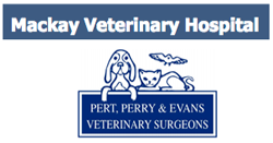 Mackay Veterinary Hospital - Vet Australia 0