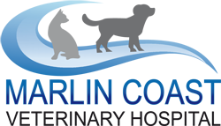 Marlin Coast Veterinary Hospital - Vet Australia 0