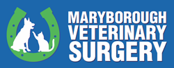 Maryborough Veterinary Surgery - Vet Australia 0