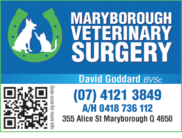 Maryborough Veterinary Surgery - Vet Australia 2
