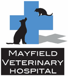 Mayfield West NSW Vet Australia