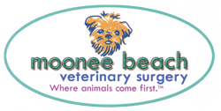Moonee Beach Veterinary Surgery - Vet Australia 0