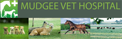 Piambong NSW Vet Australia
