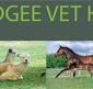 Mudgee Veterinary Hospital - Vet Australia