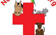 North Bundaberg Vet Surgery Pty Ltd - thumb 0