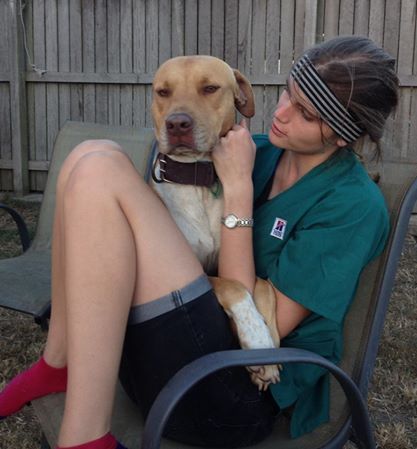 North Bundaberg Vet Surgery Pty Ltd - Vet Australia 3