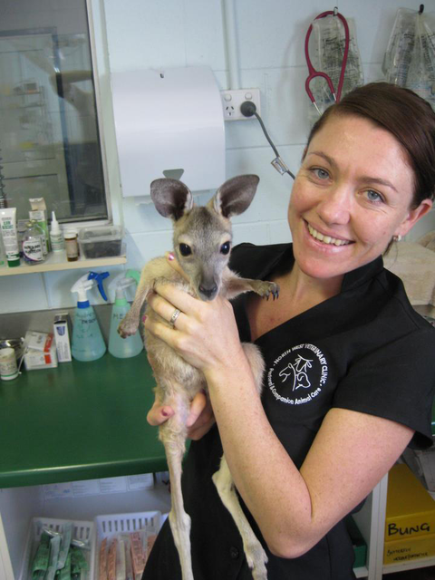 North West Veterinary Clinic - Vet Australia 4
