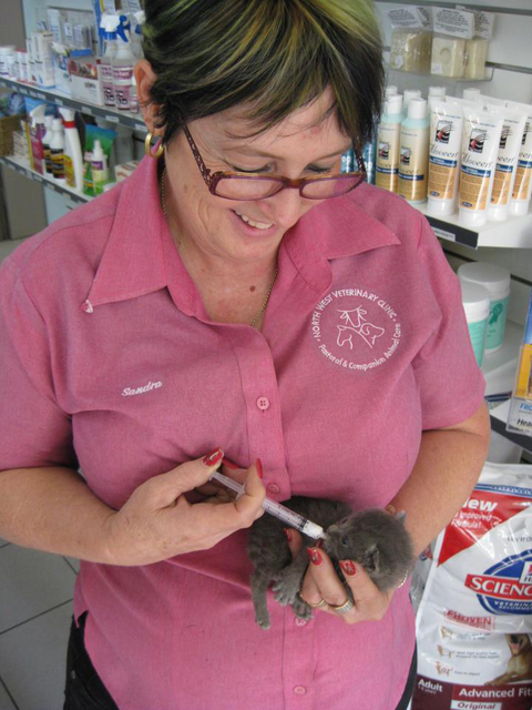 North West Veterinary Clinic - Vet Australia 5