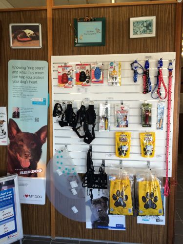 Oak Flats Vet Clinic - Vet Australia 2