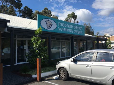 Moonee Beach Veterinary Surgery - Vet Australia 2