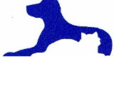 Dr Stephen Crouch Gawler South Small Animal Hospital - Vet Australia