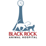 Black Rock Animal Hospital - Vet Australia