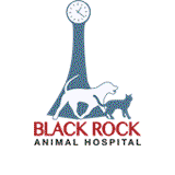 Black Rock Animal Hospital - Vet Australia 0