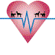 Highett Street Veterinary Hospital - Vet Australia 0