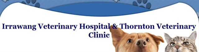 Raymond Terrace NSW Vet Australia