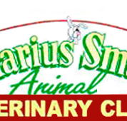 Marius Small Animal Veterinary Clinic - Vet Australia