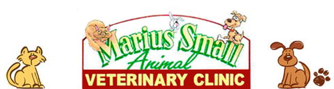 Marius Small Animal Veterinary Clinic - Vet Australia 0