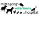 Mittagong Veterinary Hospital - Vet Australia