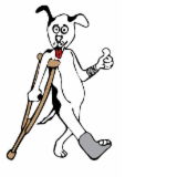 Richmond NSW Vet Australia