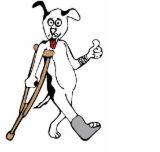 Richmond Veterinary Hospital - Vet Australia