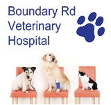 Boundary Road Veterinary Hospital Peakhurst - Vet Australia