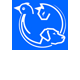 Croydon Park Veterinary Clinic  Boarding Cattery - Vet Australia