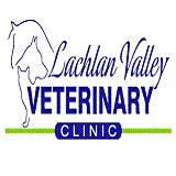 Forbes NSW Vet Australia