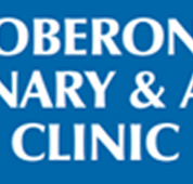 Oberon Veterinary and Animal Clinic - Vet Australia
