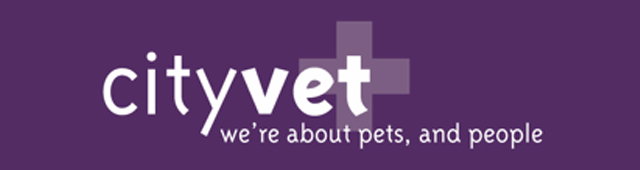 Chambers Flat QLD Vet Australia