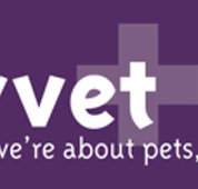 CityVet - Vet Australia