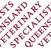 Queensland Veterinary Specialists - Vet Australia