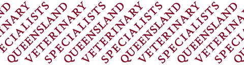 Queensland Veterinary Specialists - Vet Australia 0