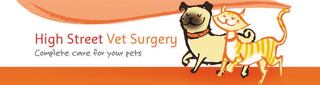 Rockhampton North QLD Vet Australia