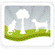 Acacia Animal Care Holistic Vet, Herbal Medicine, Acupuncture, Reiki, Homeopathy, Structural Balancing, Nutrition - Vet Australia 0