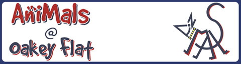 AniMals @ Oakey Flat - Vet Australia 0