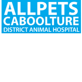 Allpets Caboolture District Animal Hospital - Vet Australia 0
