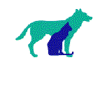 Karalee Village Veterinary Clinic - Vet Australia