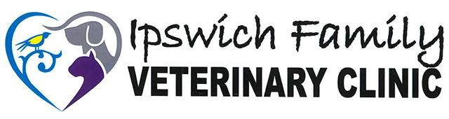 Ipswich QLD Vet Australia