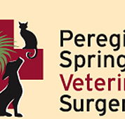 Peregian Springs Veterinary Surgery - Vet Australia