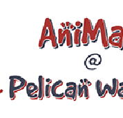 AniMals  Pelican Waters - Vet Australia