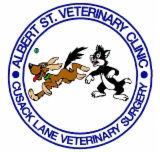 Albert Street Veterinary Clinic - Vet Australia