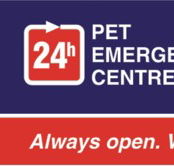 Animal Accident  Emergency Point Cook - Vet Australia