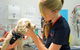 Walker Street Veterinary Surgery - thumb 0