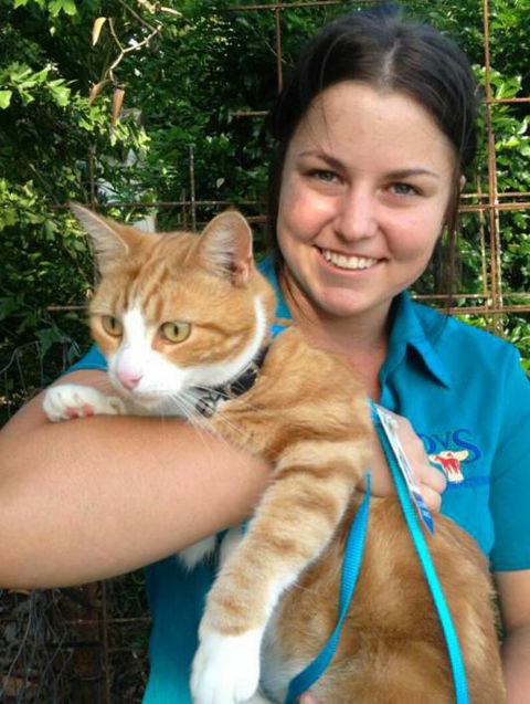 Proserpine Vet Surgery - Vet Australia 16