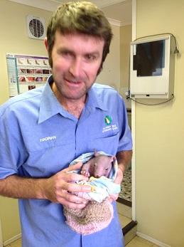 Killarney Vale Veterinary Clinic - Vet Australia 2